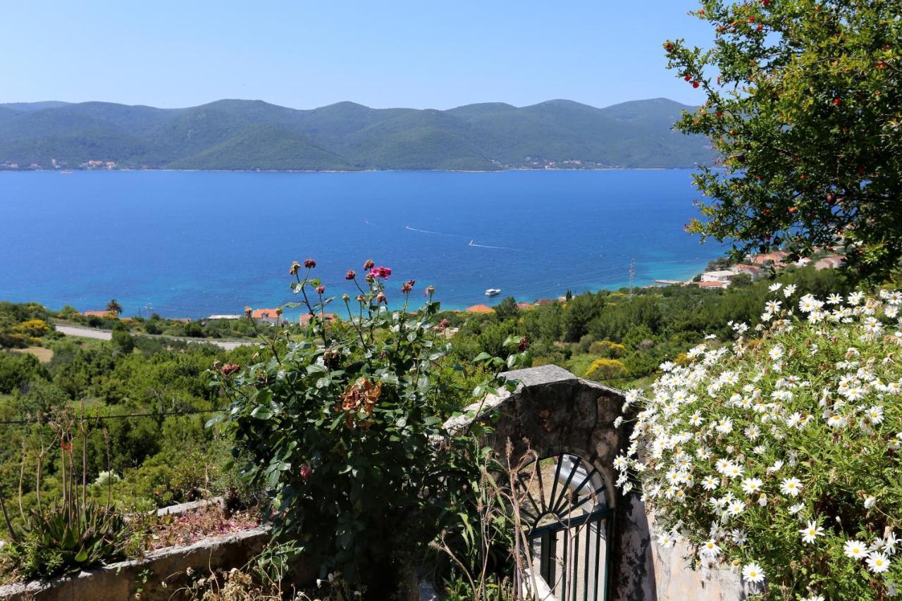 Holiday House With A Parking Space Viganj - Podac, Peljesac - 10141 Extérieur photo